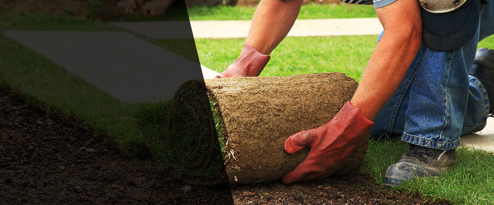 Holly Hill Landscapers